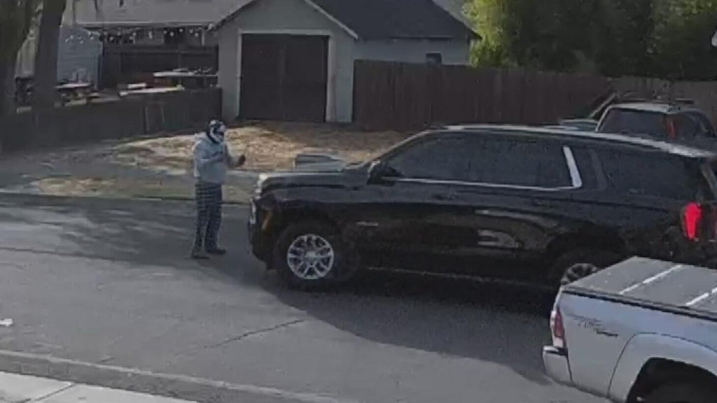 ICE responds after Woodland police dispute initial account of collision with pedestrian — CBS Bay Area (KPIX), Safety Harbor Health news