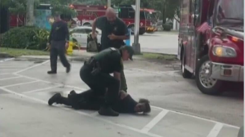 Woman accused of carjacking after stolen vehicle crash in Broward — CBS Miami, Safety Harbor Community news
