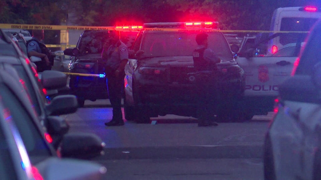 Minneapolis officer fires gun when armed teen carjacker hits squad in stolen car, police say — WCCO / CBS Minnesota, Safety Harbor Health news