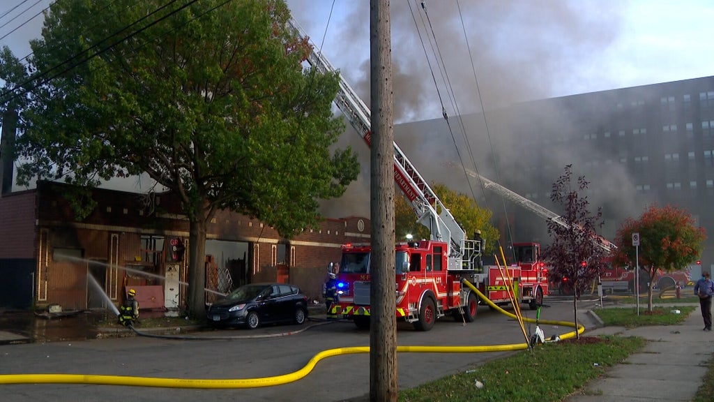 2 Minneapolis firefighters hurt in East Franklin Avenue business fire — WCCO / CBS Minnesota, Safety Harbor Health news
