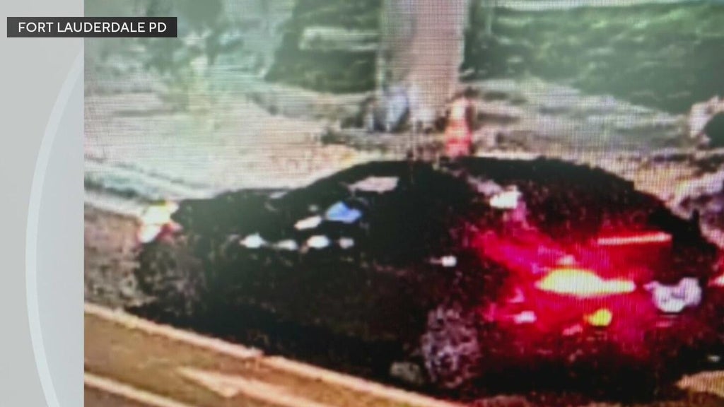 Police seek Mercedes in deadly Fort Lauderdale hit-and-run — CBS Miami, Safety Harbor Community news