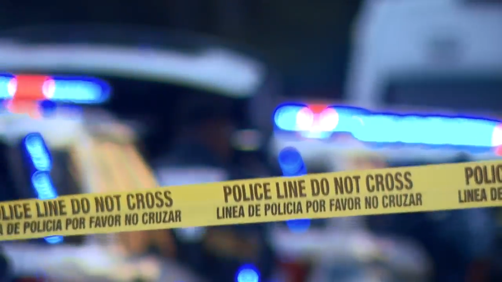 Man accused of stabbing, killing his own mother in Tamarac, BSO says — CBS Miami, Safety Harbor Health news