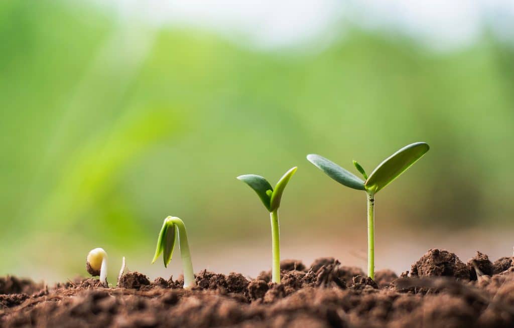 Year-end gifting: Strategies for family, charity and your financial future — Safety Harbor Arts news