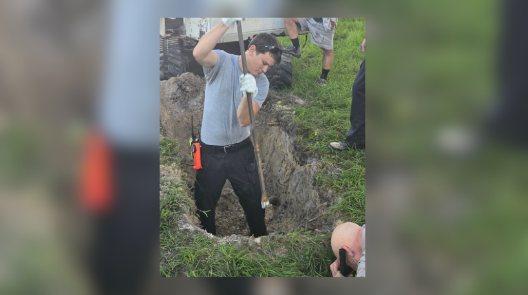 Dog trapped in sinkhole saved by fire rescue crews in Florida: CFD — WFTS ABC Action News Tampa, Safety Harbor Community news