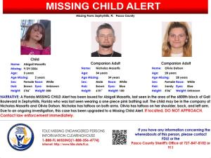 MISSING CHILD ALERT: 3-year-old child missing from the Zephyrhills area: FDLE — WFTS ABC Action News Tampa