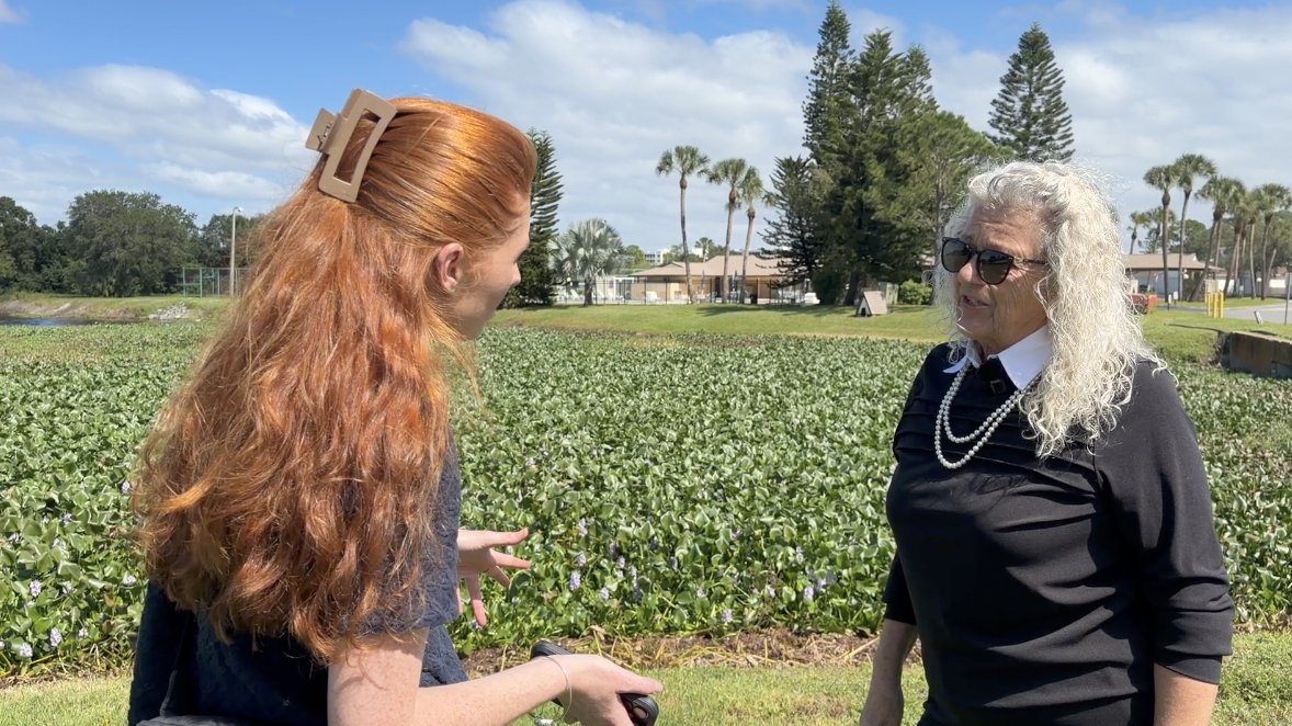 Residents fear future flooding as Largo canal maintenance dispute leaves neighborhood seeking answers — WFTS ABC Action News Tampa, Safety Harbor Real Estate news