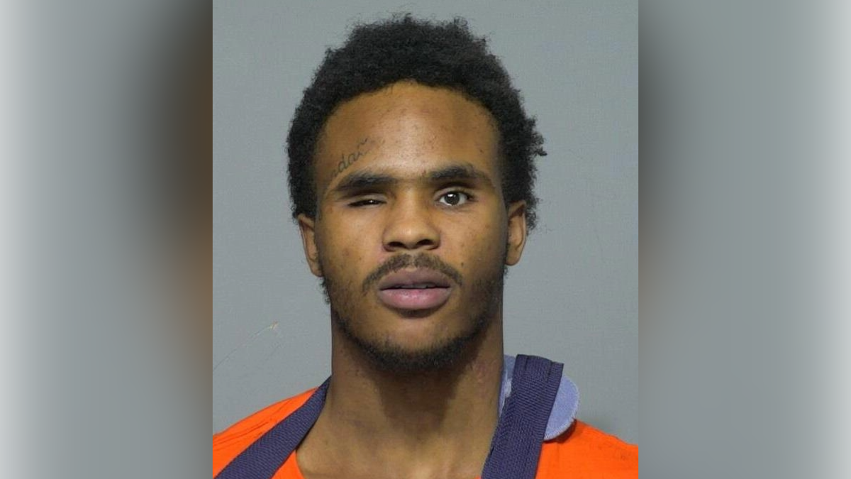Man sentenced in fatal shooting of MPS student near Assata High School — WISN 12 Milwaukee, Safety Harbor Schools news