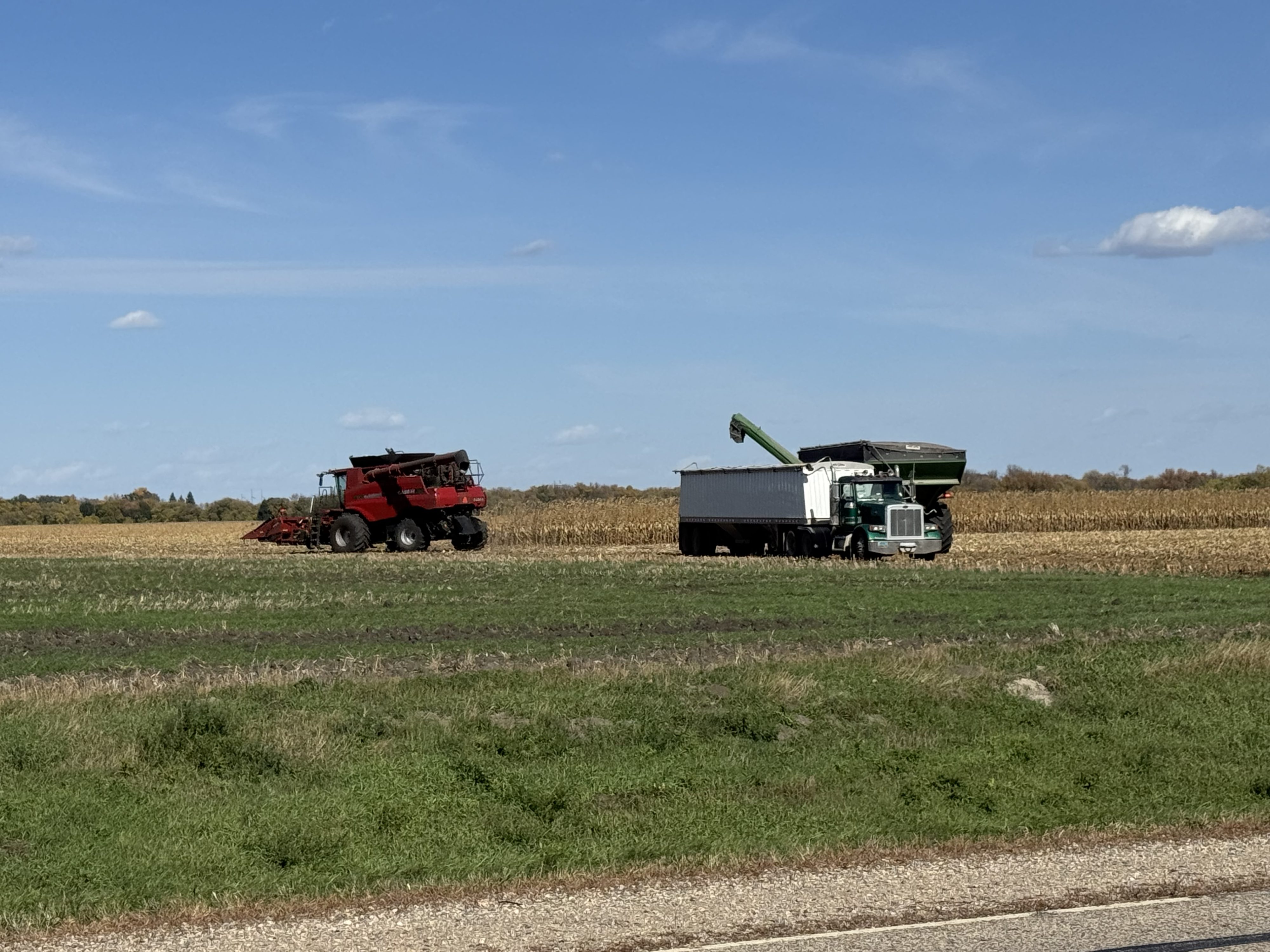USDA announces record 2025 crop year safety net program payments — KFGO, Safety Harbor Community news