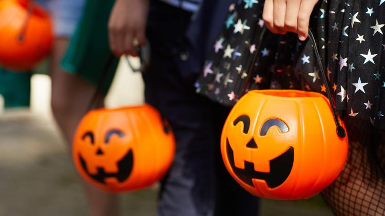 These are the top trending Halloween costumes in the Tampa Bay area for 2026 — WTSP 10 Tampa Bay, Safety Harbor Community news