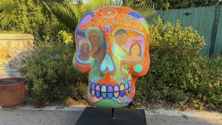 San Antonio Zoo adds 7 giant sugar skulls to Día de los Muertos celebration — KENS 5 (San Antonio), Safety Harbor Sports news