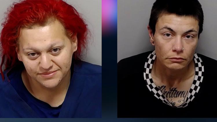 Dogs left to die while owners were passed out and intoxicated in nearby truck, San Antonio police say — KENS 5 (San Antonio), Safety Harbor Community news