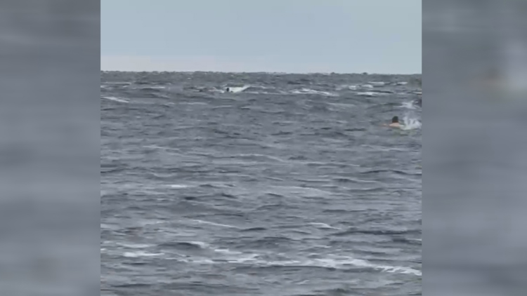 Off-duty JFRD firefighter rescues three from capsized boat at Big Talbot Island — First Coast News Local, Safety Harbor Community news