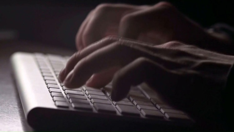 Scammers cash in on the holiday shopping rush — WTSP 10 Tampa Bay, Safety Harbor Business news