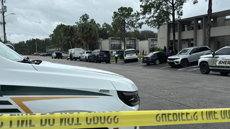 Hillsborough detectives investigating after child reports mother's death — WTSP 10 Tampa Bay, Safety Harbor Community news