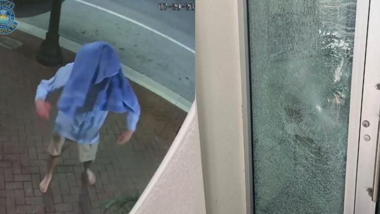 Man accused of vandalism at Sarasota synagogue says 'propaganda' made him mad — WTSP 10 Tampa Bay
