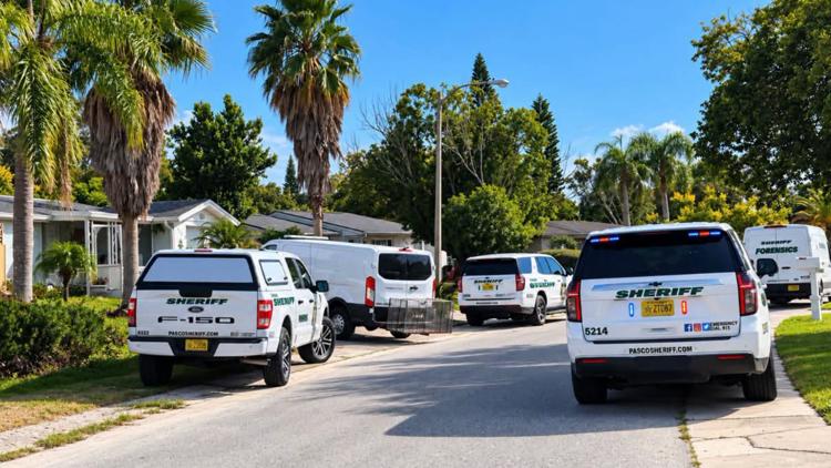 Woman hospitalized after being attacked by dog in Pasco County: deputies — WTSP 10 Tampa Bay, Safety Harbor Health news