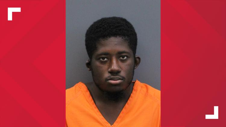 Gibsonton man arrested after deputies find more than 100 child sexual abuse files — WTSP 10 Tampa Bay, Safety Harbor Community news
