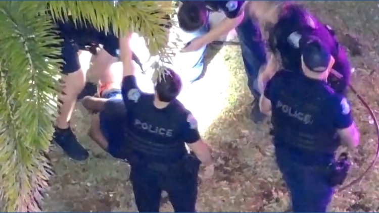 VIDEO: 16-year-old arrested after police chase leads to attempted break-in at Sarasota apartment — WTSP 10 Tampa Bay