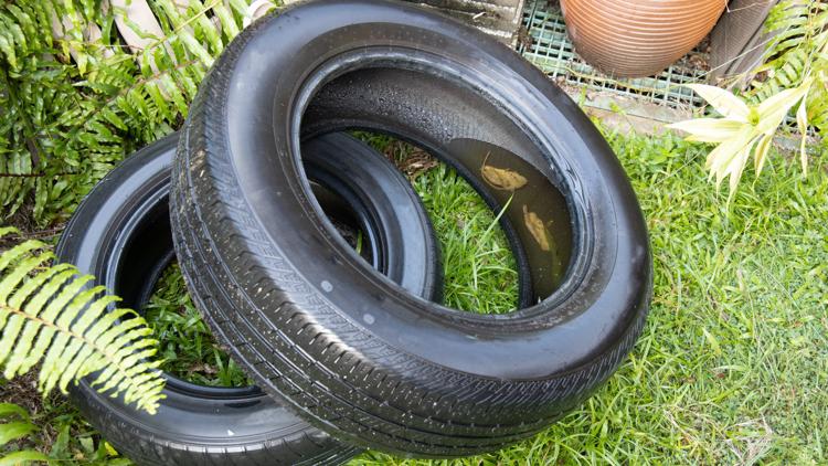 Hernando County waives tire disposal fees amid statewide dengue outbreak — Safety Harbor Community news