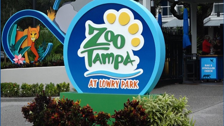 Hillsborough commissioners advance $75 million ZooTampa funding proposal — WTSP 10 Tampa Bay