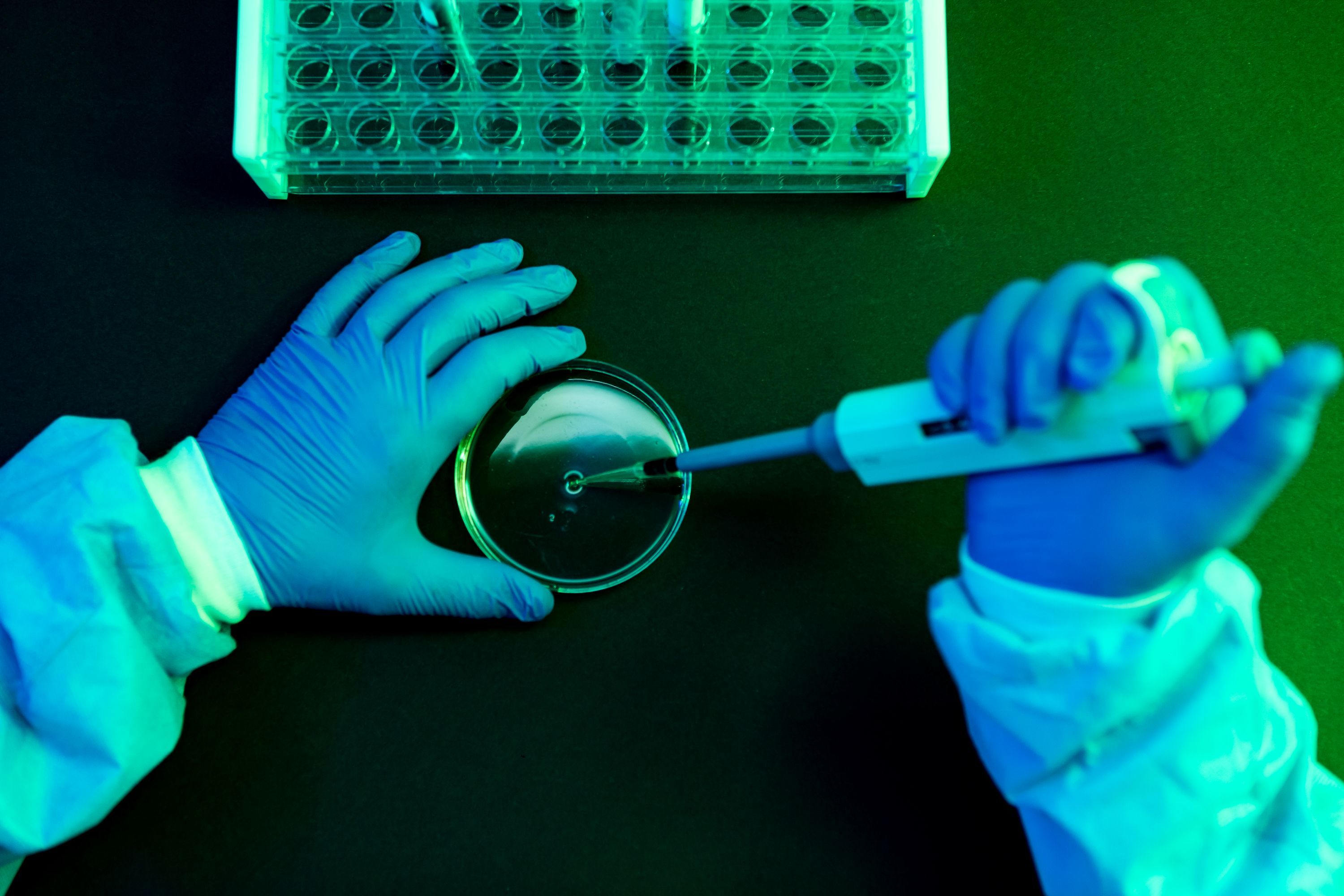 What to Know About Shamonda Virus Following the First Reported Human Infection — Wired, Safety Harbor Technology news