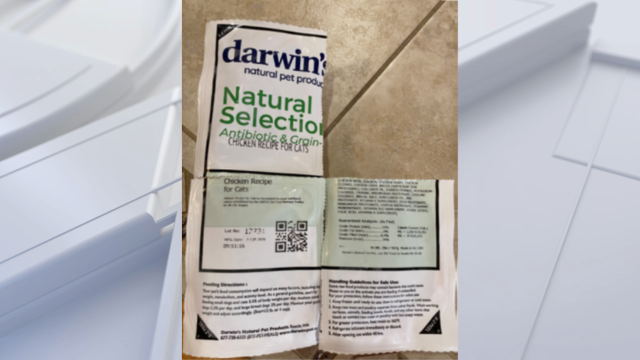 FDA warns pet owners after salmonella found in frozen cat food — Safety Harbor Community news