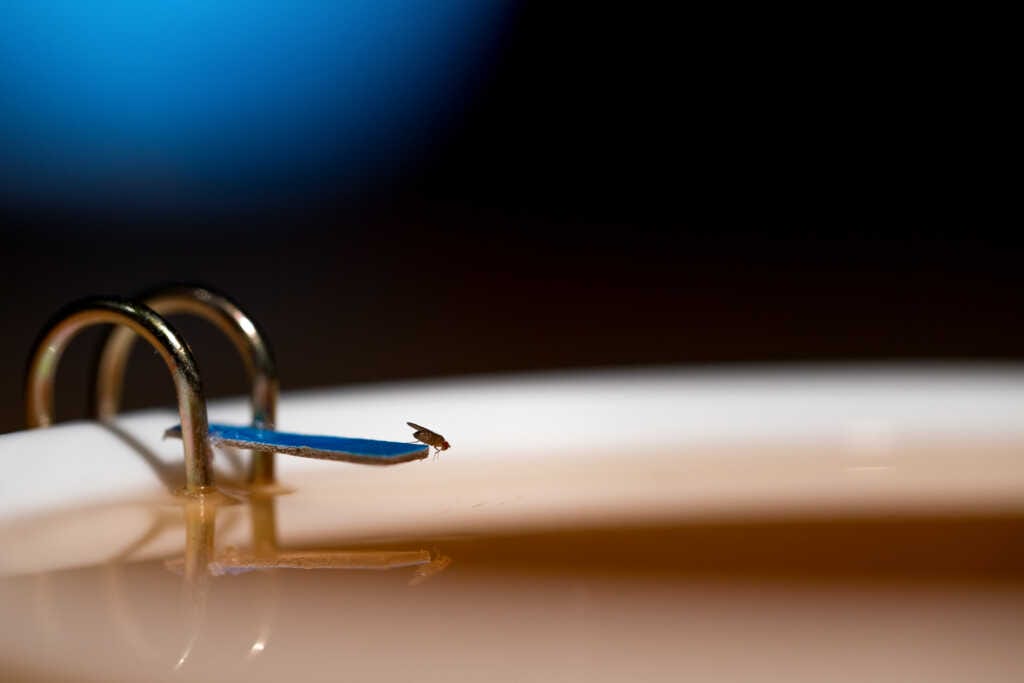 Non Private Equity Firm Owned Pest Control Services? — PoPville DC